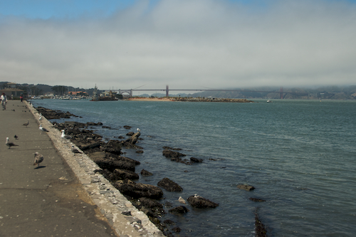 sf_golden_gate_fog