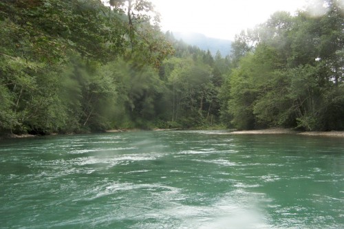 skagit river green