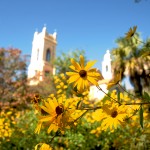 charleston_flowers-churches