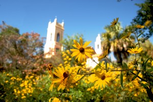 charleston_flowers-churches charleston_flowers-churches