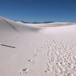 white-sands_buried-marker