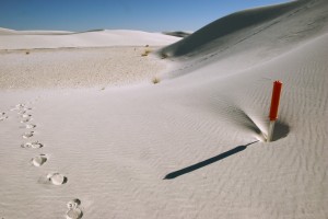 white-sands_buried-marker-2