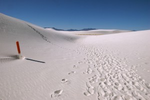 white-sands_buried-marker white-sands_buried-marker