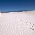 white-sands_footsteps