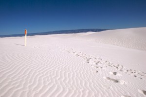 white-sands_footsteps white-sands_footsteps