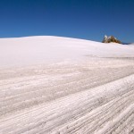 white-sands_tracks-rock